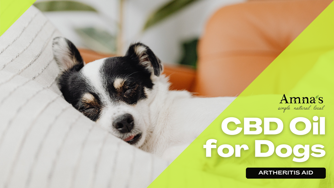 CBD Oil for Dogs with Artheritis