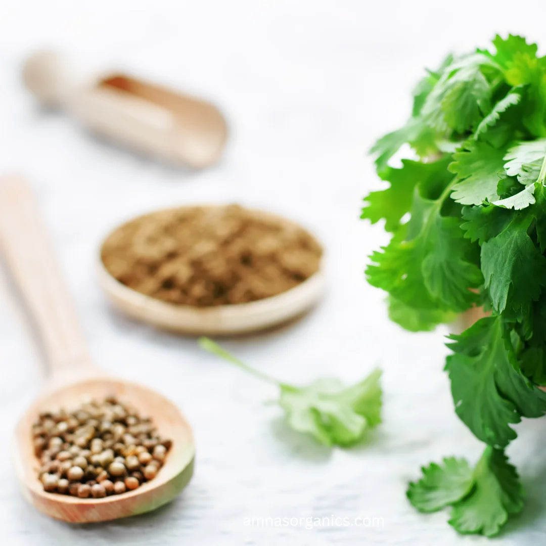 Coriander (Dhania) | All-Natural