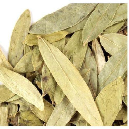 Senna Leaves (Sanna Makki) - - gluten free foods Pakistan Lahore Islamabad Karachi Amna's Naturals & Organics