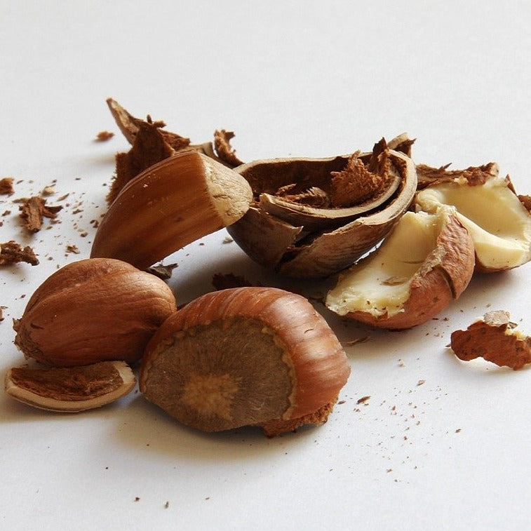 Hazelnuts | Roasted In Shell - - gluten free foods Pakistan Lahore Islamabad Karachi Amna's Naturals & Organics