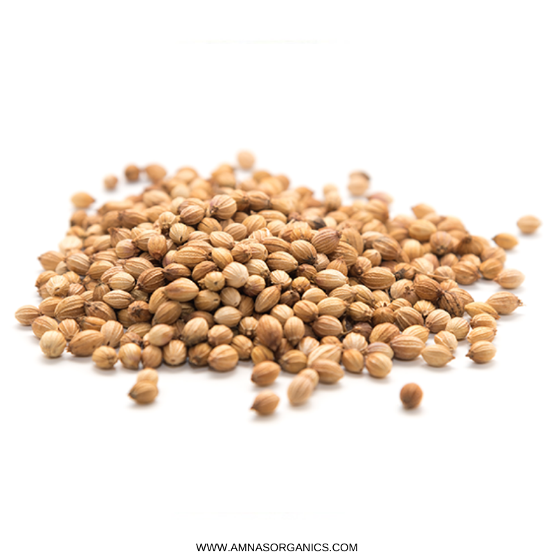 Coriander (Dhania) | All-Natural - - gluten free foods Pakistan Lahore Islamabad Karachi Amna's Naturals & Organics